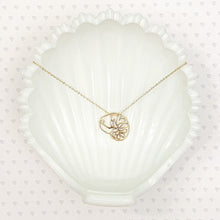 Load image into Gallery viewer, ocracoke shell pendant necklace