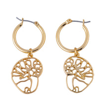 Load image into Gallery viewer, ocracoke natica shell drop hoop earring tbabe0004-gold
