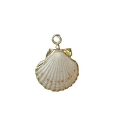 Load image into Gallery viewer, charleston scallop gold edge shell
