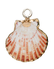 Load image into Gallery viewer, charleston scallop gold edge shell
