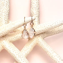 Load image into Gallery viewer, ocean springs organic shape oval drop pearl earrings on pink background with sea stars
