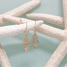 Load image into Gallery viewer, marco island gold tulip shell drop earrings on loop wire
