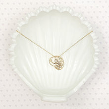 Load image into Gallery viewer, ocracoke shell pendant necklace
